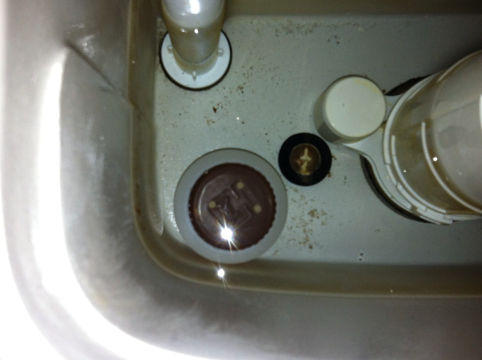 Make Truth Your Authority Keep Your Toilet Bowl Clean Easily